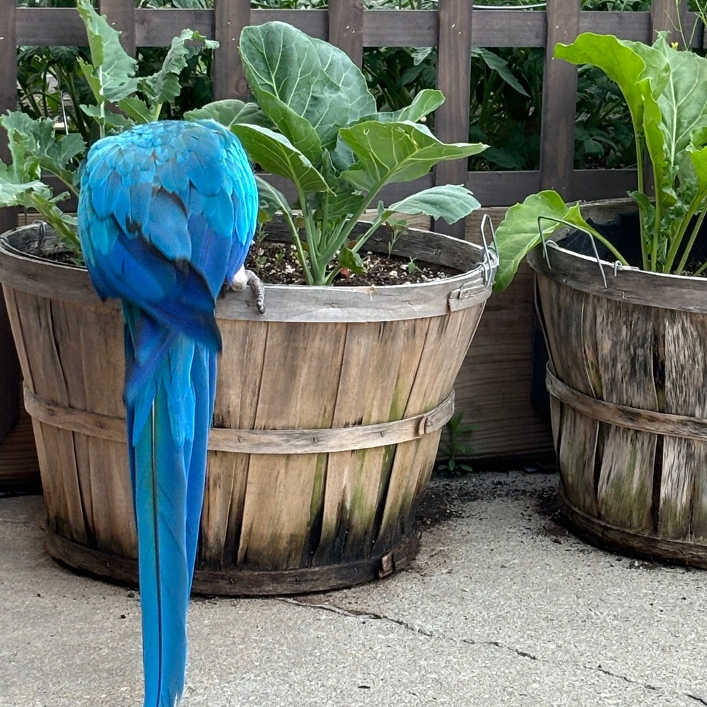 Meet your Posher, Fatima